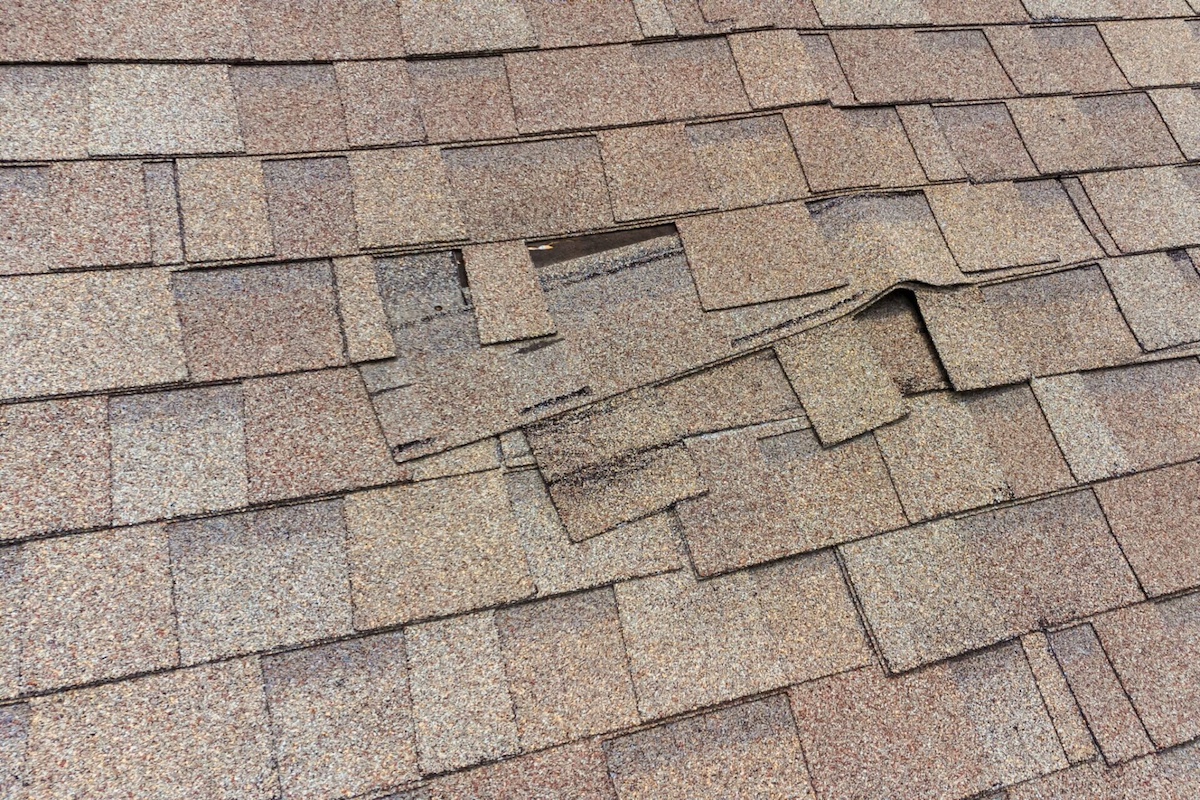 Signs Your Roof Needs Repair: What to Look Out For hero image